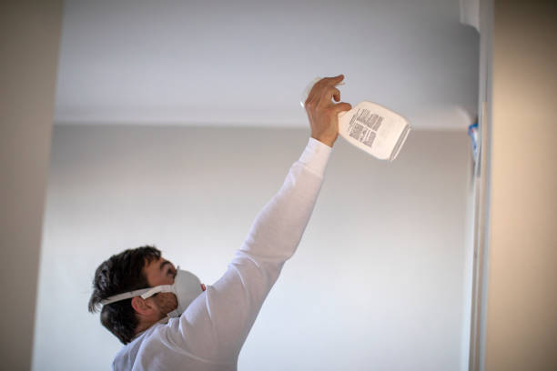 Best Best Mold Removal Companies  in Riverton, IL
