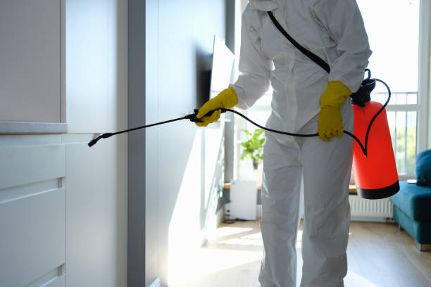 Best Mold Remediation  in Riverton, IL