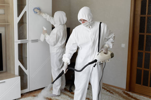 Best Crawl Space Mold Removal  in Riverton, IL