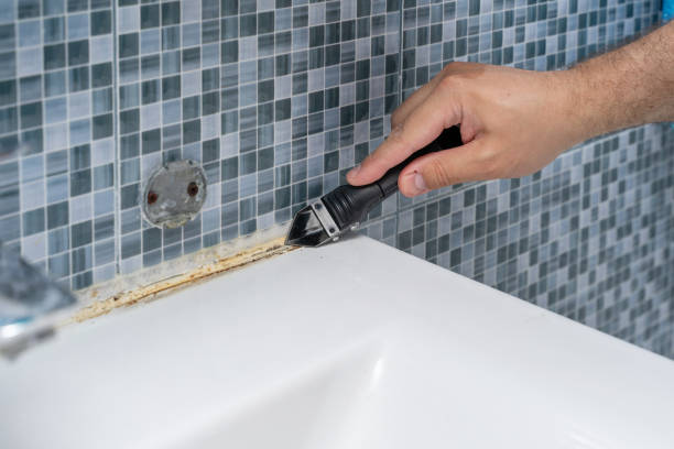 Best Professional Mold Removal  in Riverton, IL