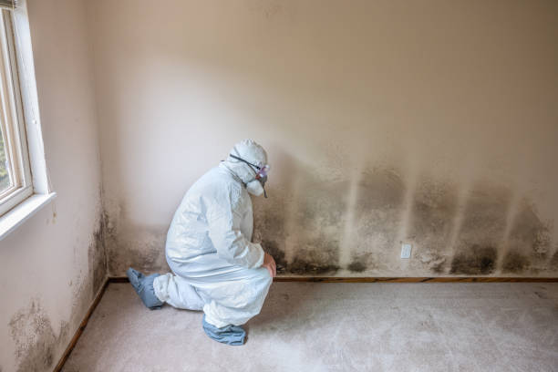 Best Mold Testing  in Riverton, IL